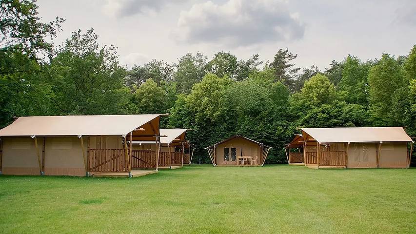 Gîte pour 6 personnes, avec jardin, animaux acceptés à Turnhout - 2