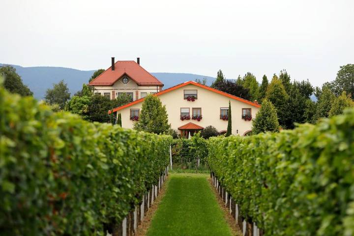 Casa de huéspuedes para 2 personas, con jardín y terraza en Landau