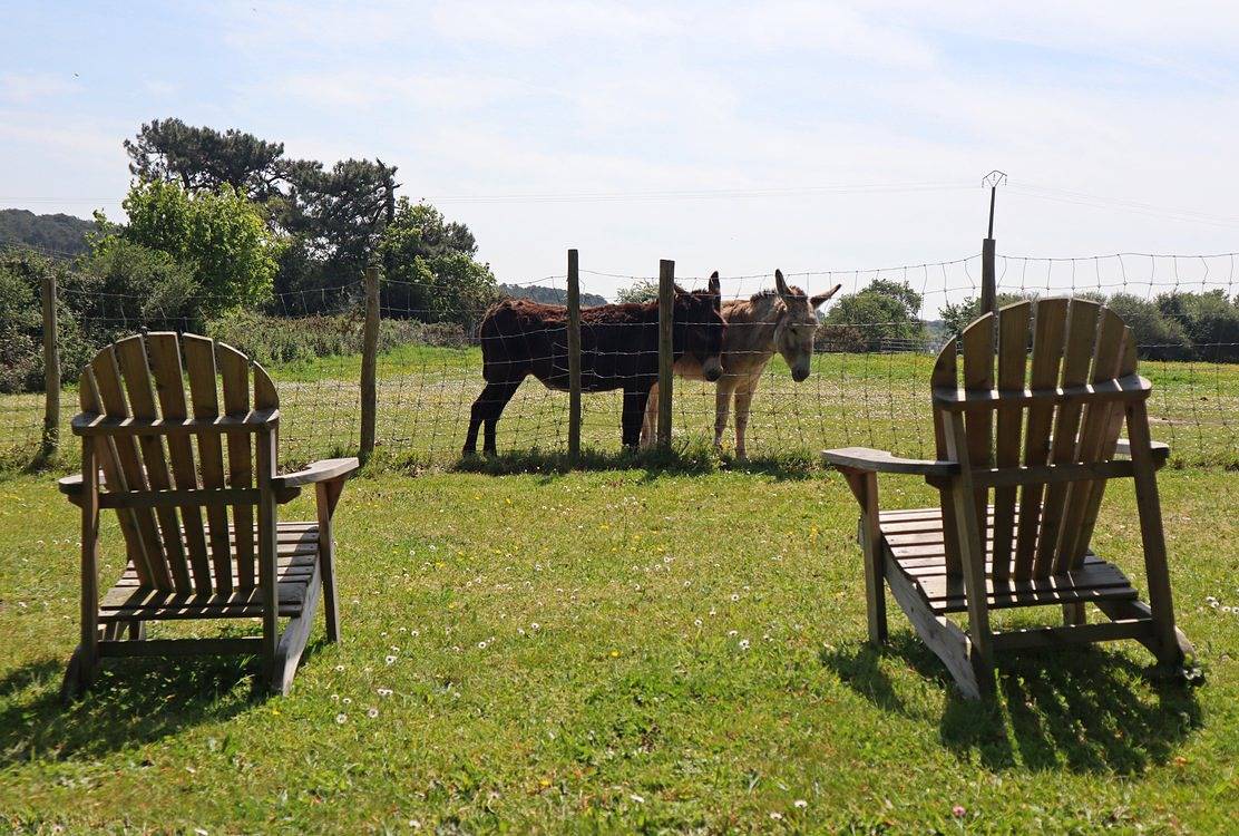 Chambre d'hôtes en studio ou en hébergement insolite - Pod in Baden (France), Côte des Mégalithes
