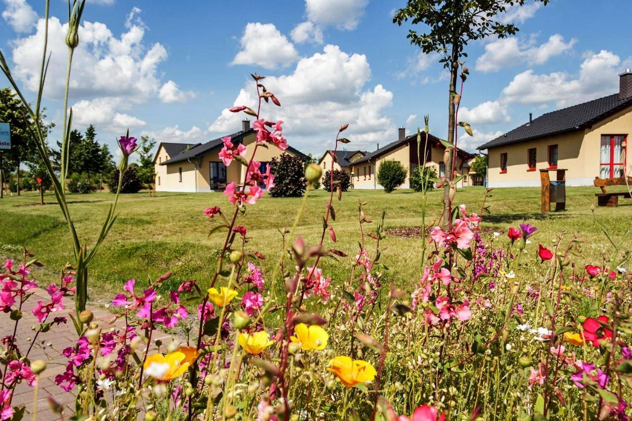 Ganze Wohnung, Seepark Auenhain in Markkleeberg, Leipziger Neuseenland