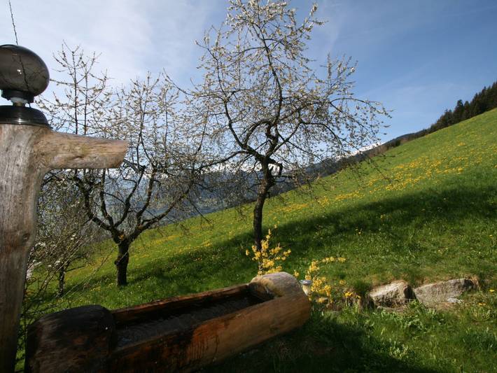 Bauernhof für 4 Personen, mit Balkon und Terrasse sowie Garten im Zillertal - 4