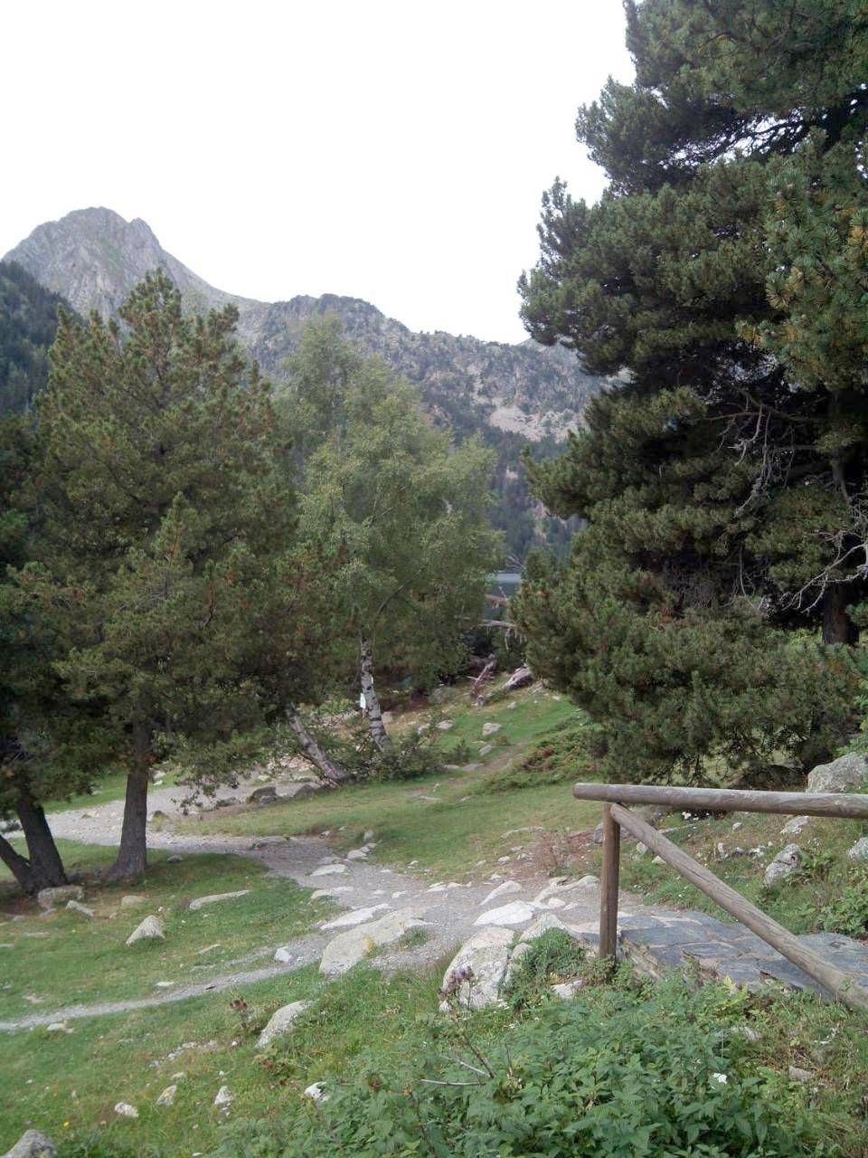 Apartamento entero, Apartaments l'Arrel in Espot (Esquí), Espot