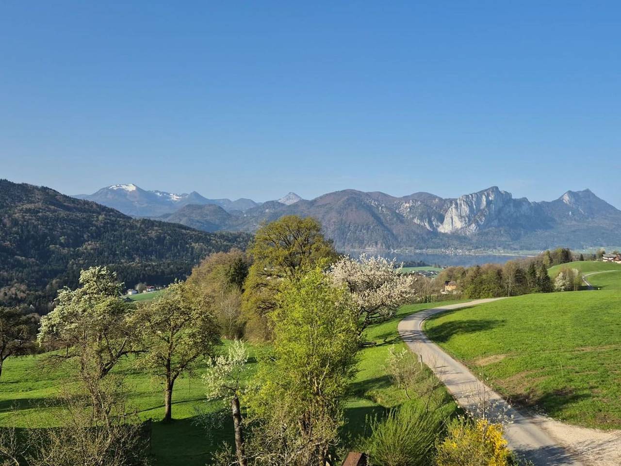 Rindberger - Familie Edtmayer - Ferienwohnung Ausblick in Innerschwand am Mondsee, Mondsee & Irrsee