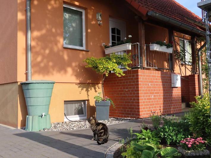 Ferienhaus für 8 Personen, mit Garten und Ausblick in Garz - 3