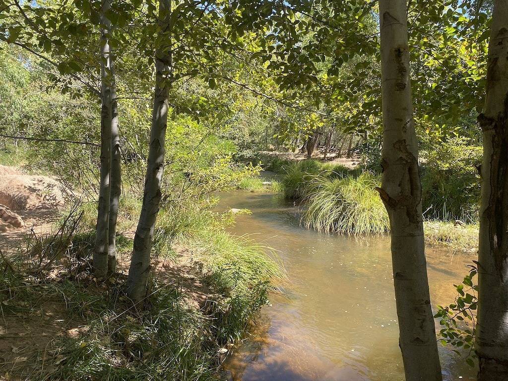 Cozy Cabin in Heart of Tonto Forest in Gila County