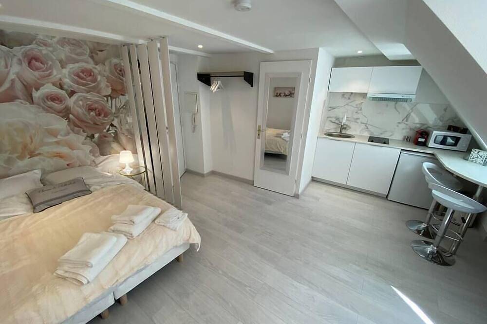 Entire apartment, Esprit Romantique ........ au coeur de Mulhouse in Mulhouse, Mulhouse region
