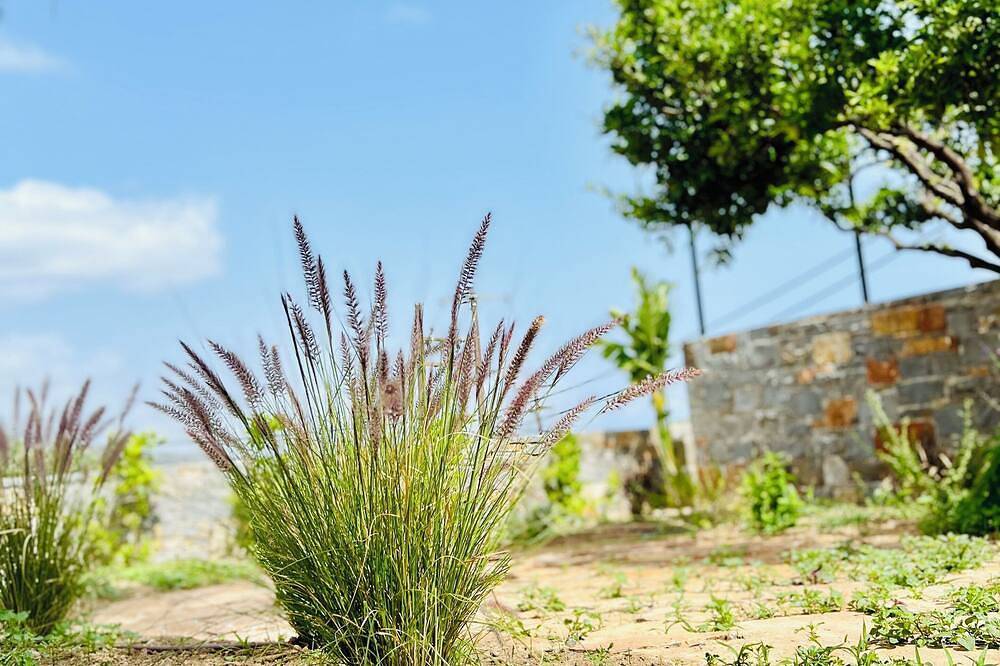 Gioma Garden Villas in Lasithi