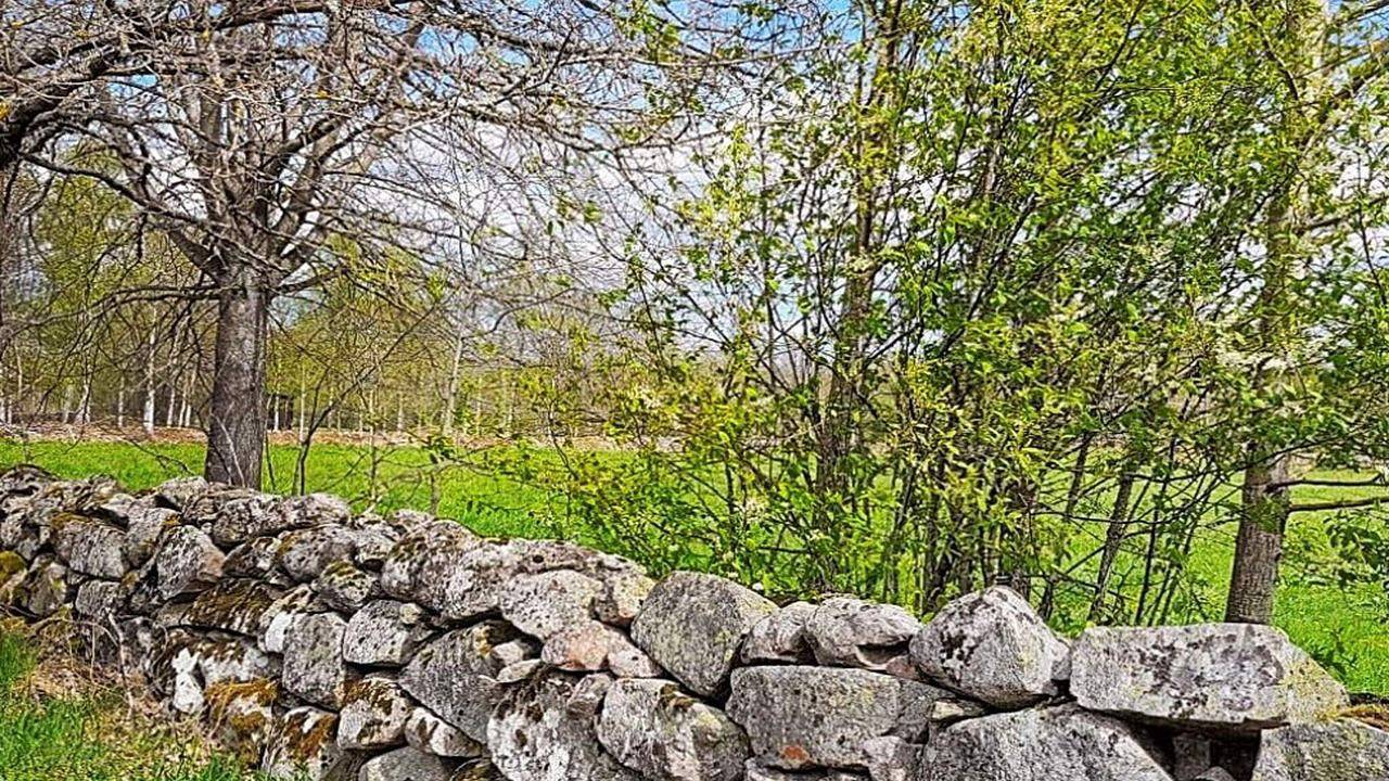 Ferienhaus für 4 Personen (60 m²) in Väckelsång in Kronoberg