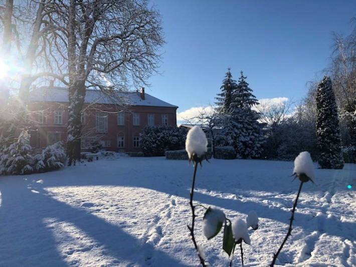 Ferienwohnung für 3 Personen, mit Garten und Terrasse sowie Ausblick, mit Haustier in Mecklenburgische Schweiz - 3
