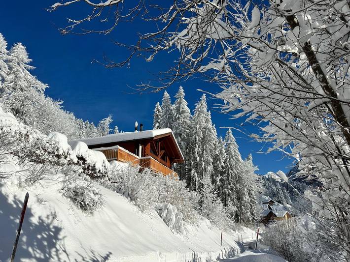 Ferienhaus für 8 Personen, mit Garten - 1