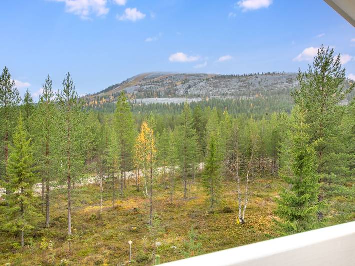 Tillikka in Pyhä, Lappland