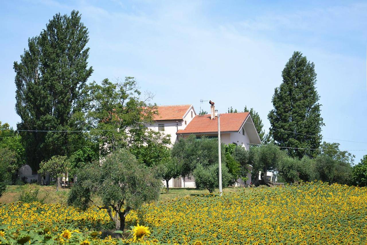 Double Room with Extra Bed in Cupramontana, Provincia di Ancona