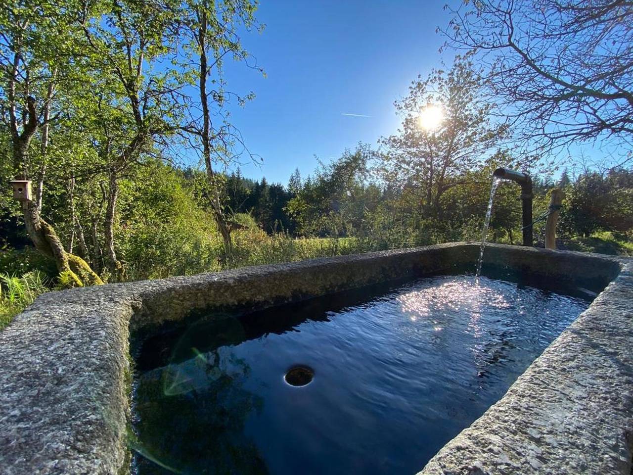 Ferienhaus Klause - Ferienhaus in Pleckensteiner Wald, Ostbayern