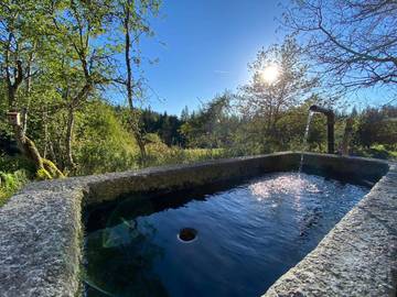 Chalet für 16 Personen in Pleckensteiner Wald, Niederbayern, Bild 3