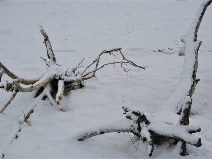 Ferienwohnung für 3 Personen, mit Terrasse in Wustrow - 4