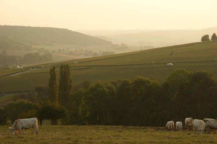 Chambre d’hôte pour 2 personnes, avec jardin dans l' Aisne - 3