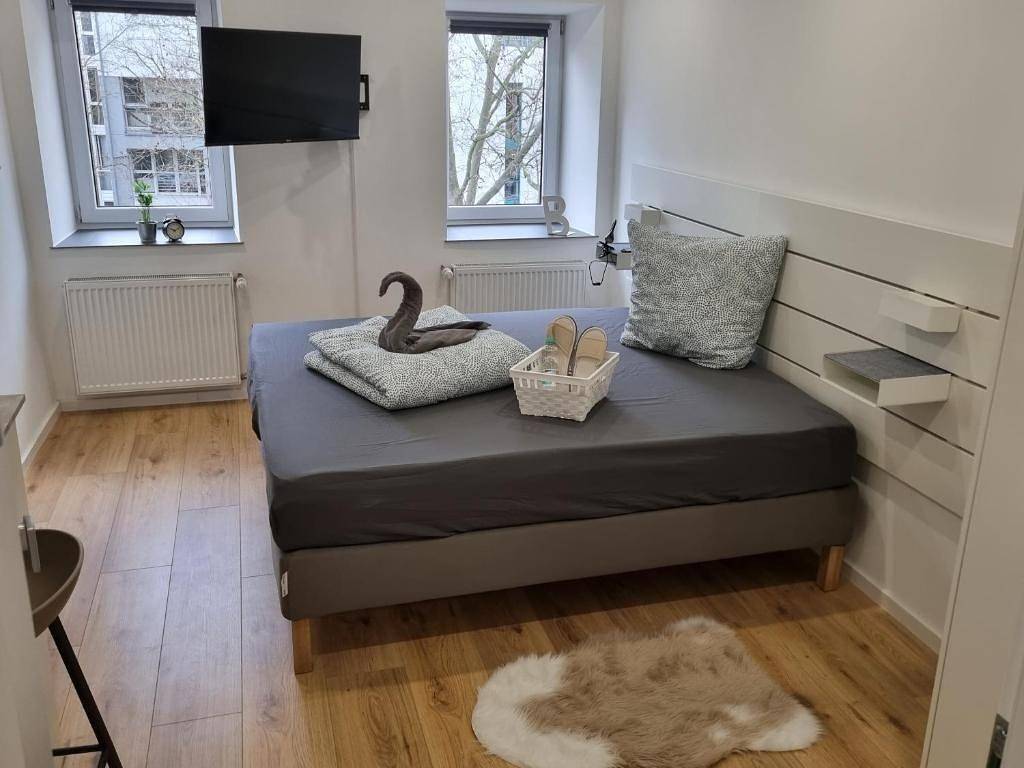 Ganze Ferienwohnung, City Central Apartment House - Apt 2 in Kaiserslautern, Saar-Nahe-Bergland