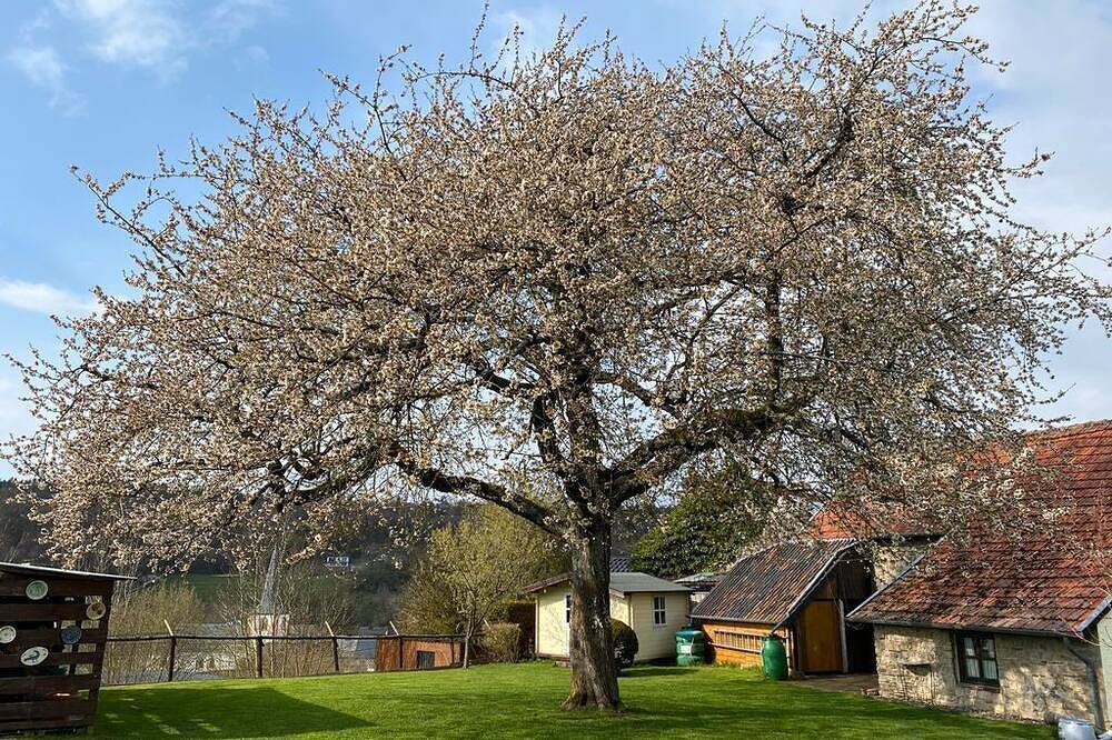 Eifelchalet Niederehe - 4-bed vacation home Eifelchalet, 2 bedrooms, foto 14