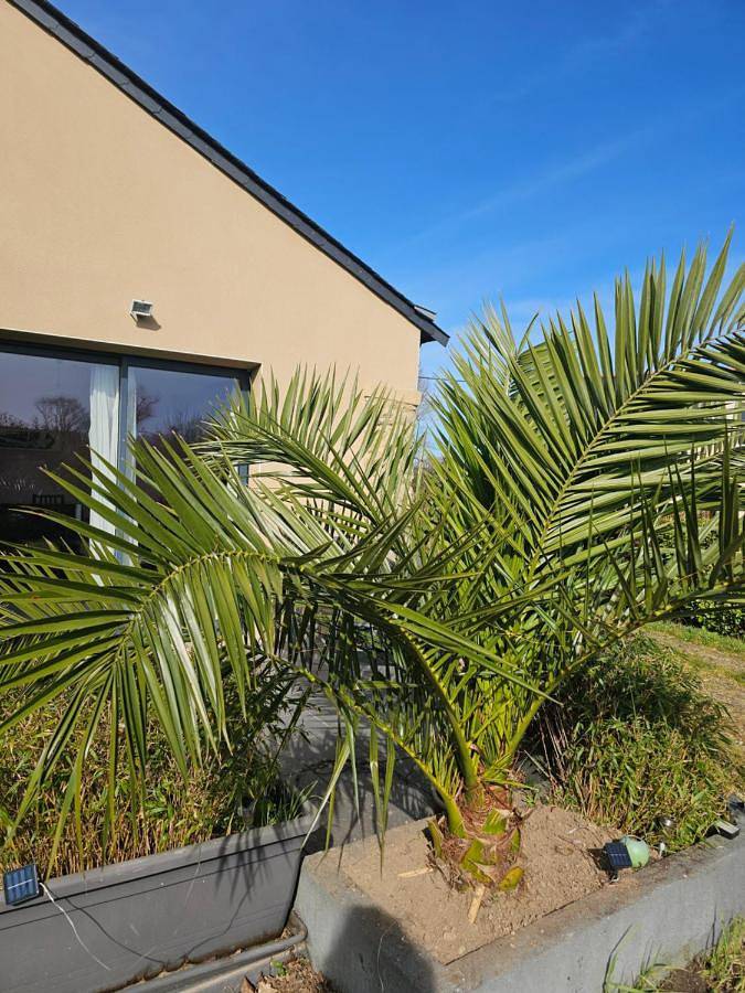 Casa de vacaciones para 2 personas, con piscina y jardín - 1