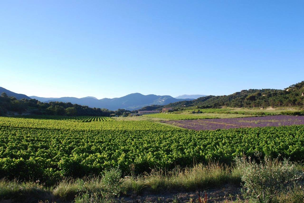 Domaine de Provensol in Venterol, Région de nyons