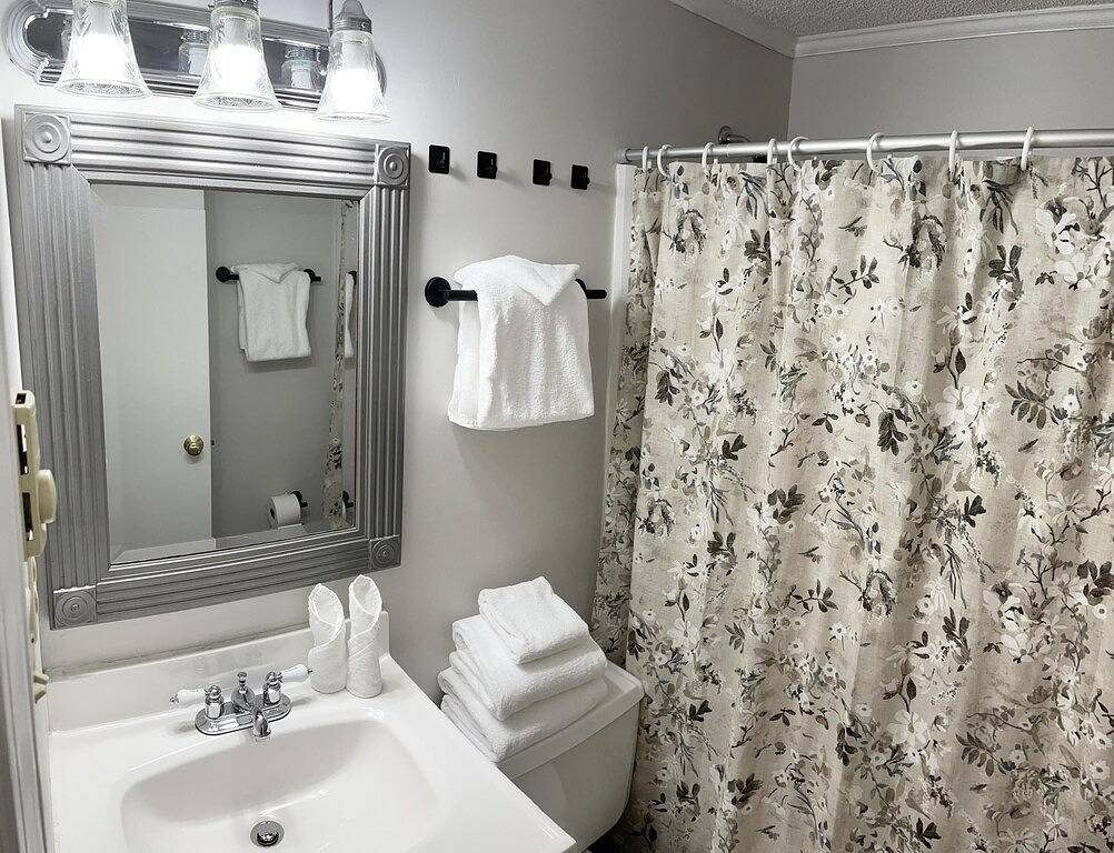 Ganze Wohnung, Ml 111: Stylish Hideaway | Perfect Daycamp for Ski Day & Nights in Snowshoe, Greenbrier River