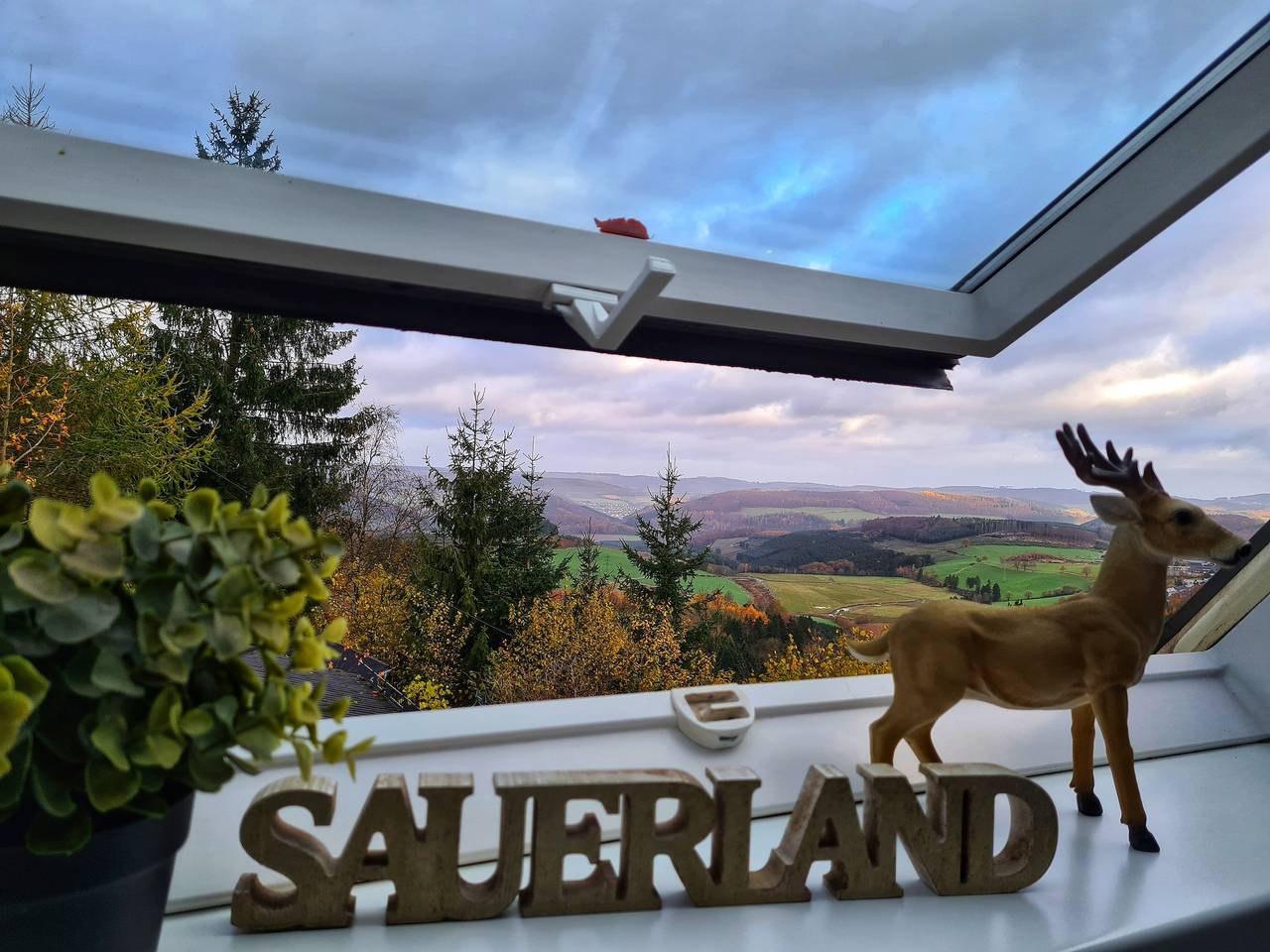 Ganze Ferienwohnung, Ferienwohnungen Dorfliebe Dörnberg Talblick in Bestwig, Hochsauerlandkreis