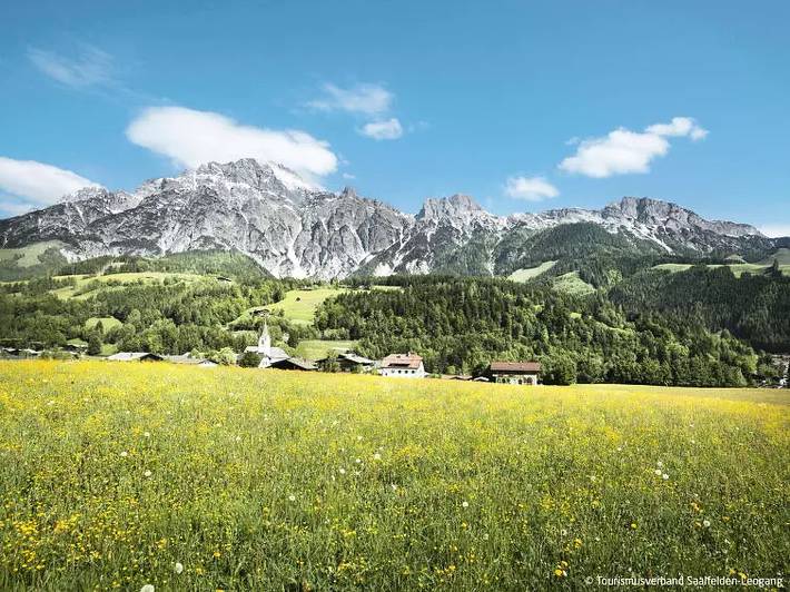 Ferienwohnung für 2 Personen in Saalfelden am Steinernen Meer