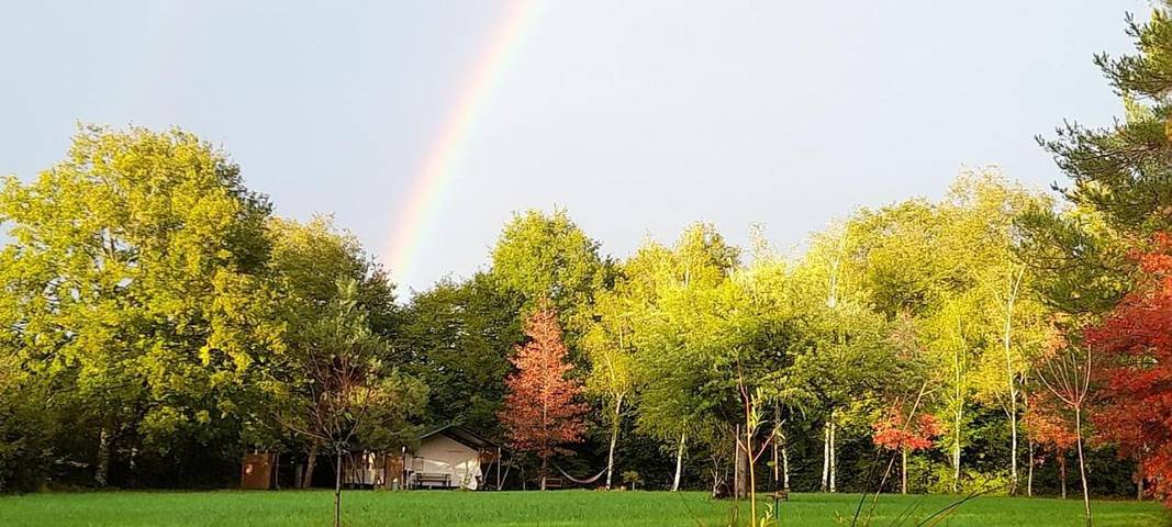 Tente pour 6 personnes, avec jardin ainsi que terrasse et vue, animaux acceptés dans Allier - 2
