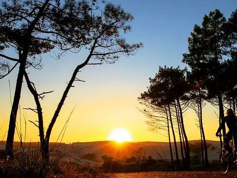 Mobilhome for 6 people in Messanges, Côte d’Argent