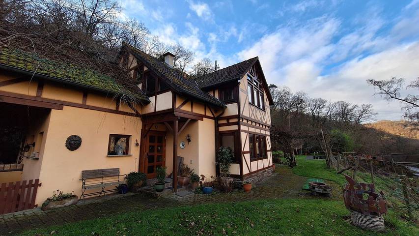 Chalet voor 4 personen, met terras en tuin, met huisdier aan de Moezel