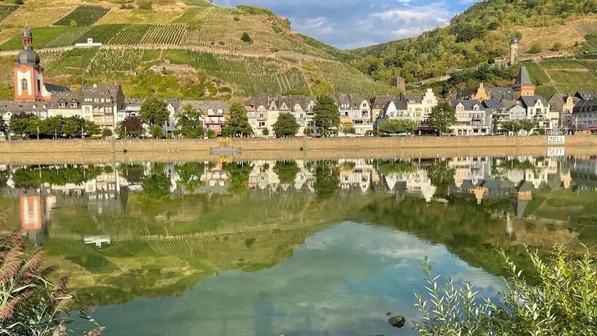 Ferienhaus für 4 Personen, mit Haustier in Zell Stadt (Mosel) - 4