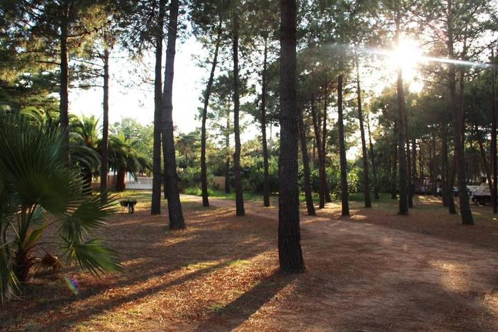 Gîte pour 6 personnes, avec vue et jardin dans Plage de Tenutella - 3