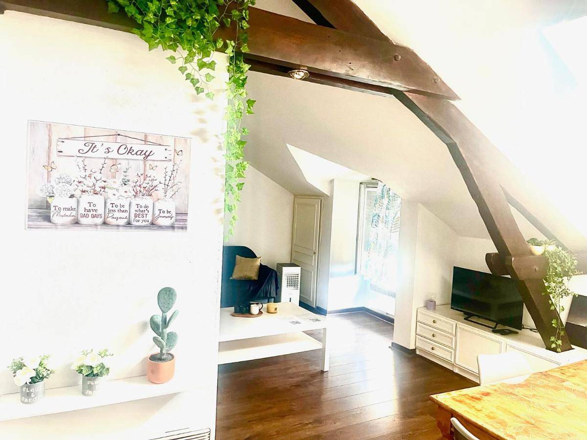 Appartement entier, One-Bedroom Apartment in Millau, Parc naturel régional des Grands Causses