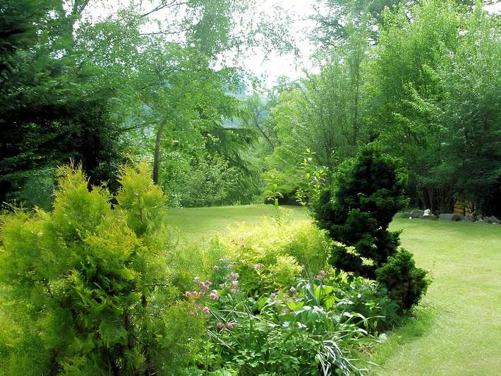 Chambre d’hôte pour 4 personnes, avec jardin dans Parc Naturel Régional Livradois-Forez - 3