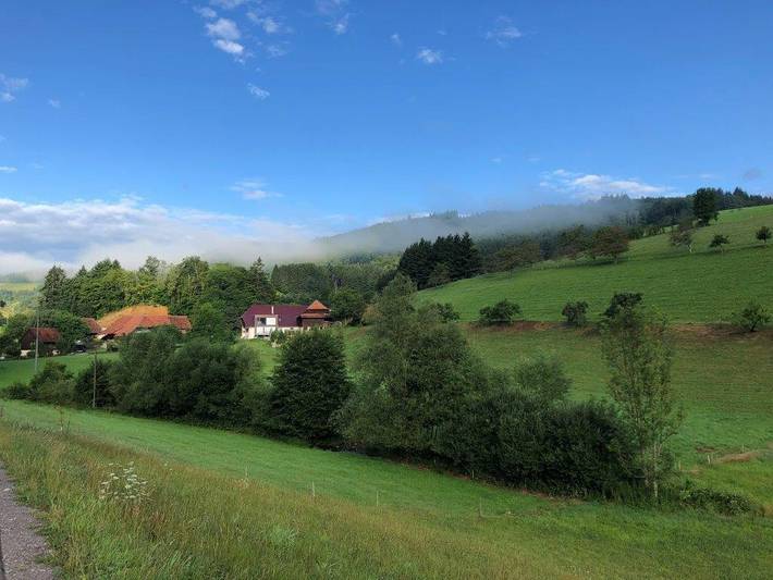 Gîte pour 3 personnes, avec jardin et terrasse à Steinach - 4