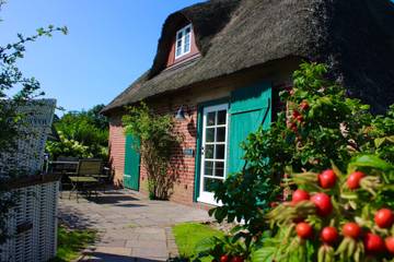 Ferienhaus für 5 Personen, mit Garten und Terrasse auf Föhr