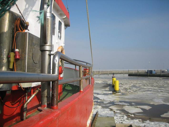 Ferienwohnung für 10 Personen, mit Terrasse und Garten in Ostfriesland - 4