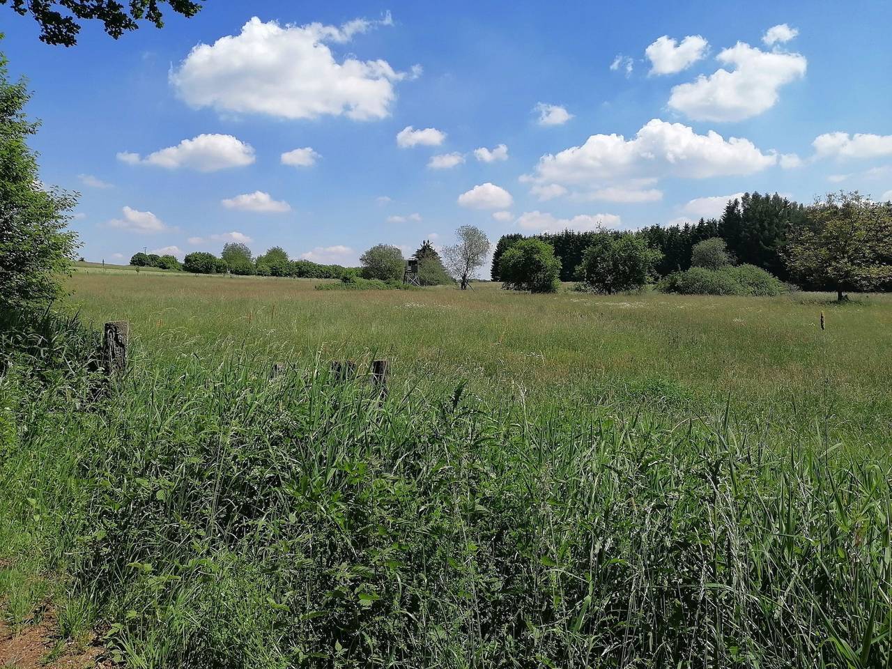 Vacation house for 4 people with terrace in Steinen (Westerwald), Westerwald
