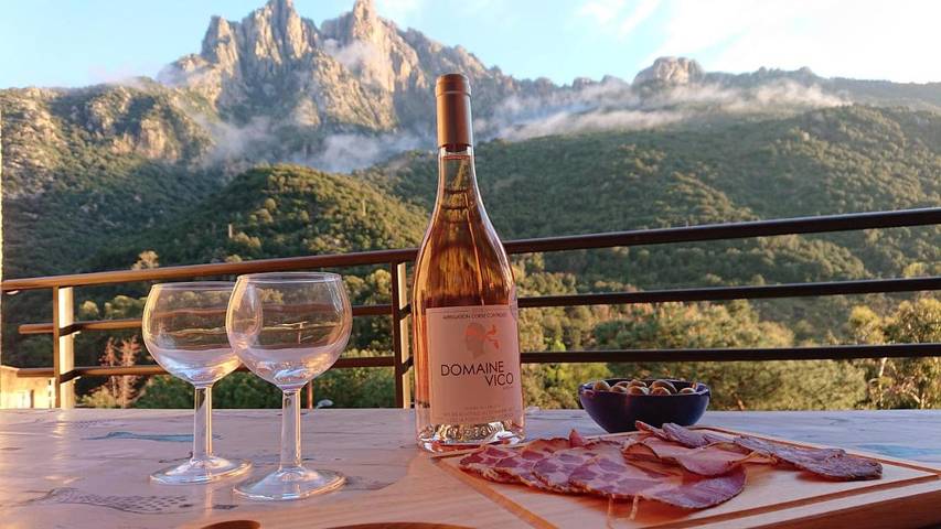 Location de vacances pour 4 personnes, avec vue ainsi que piscine et terrasse dans Porto (Corse) - 2