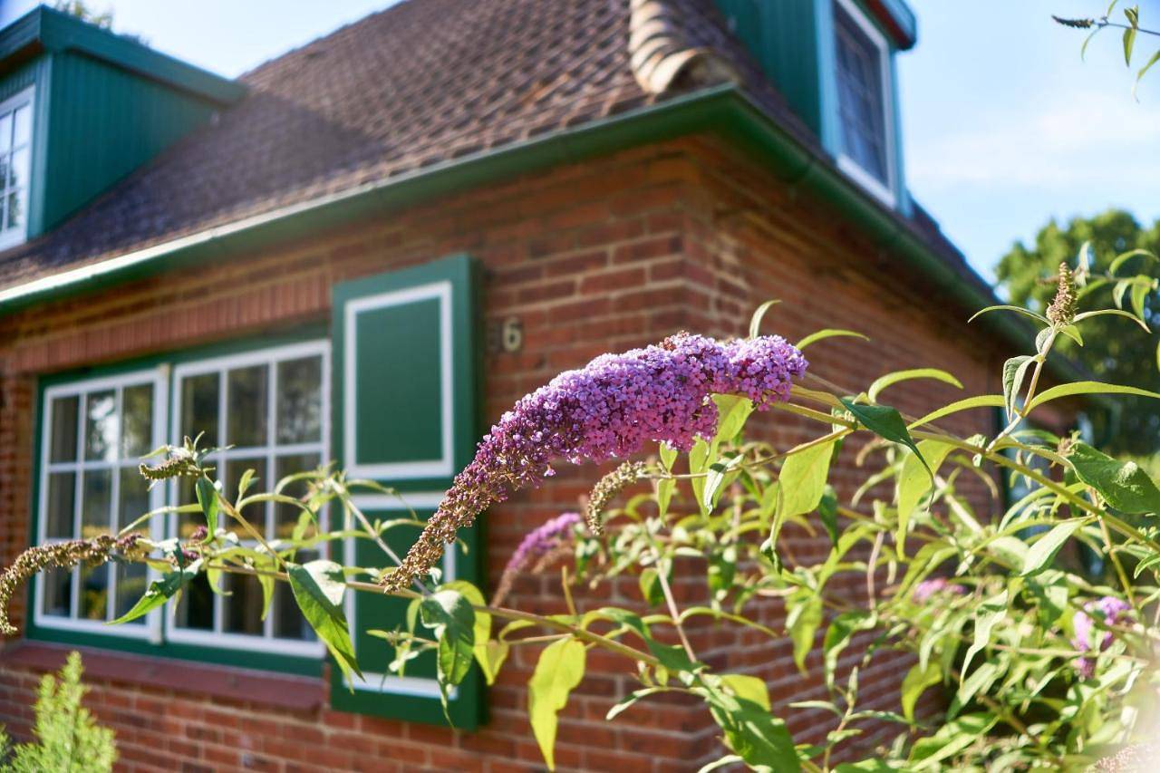 Four-Bedroom House in Harmsdorf, Ostholstein