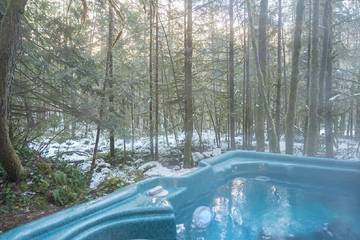 Log Cabin for 8 Guests in Rhododendron, Mount Hood, Picture 2