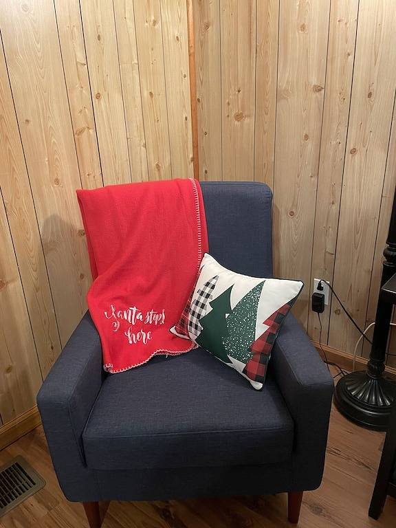 1 Playful Cub-Great unbelievable rates, check it out in Cosby (TN), Cocke County