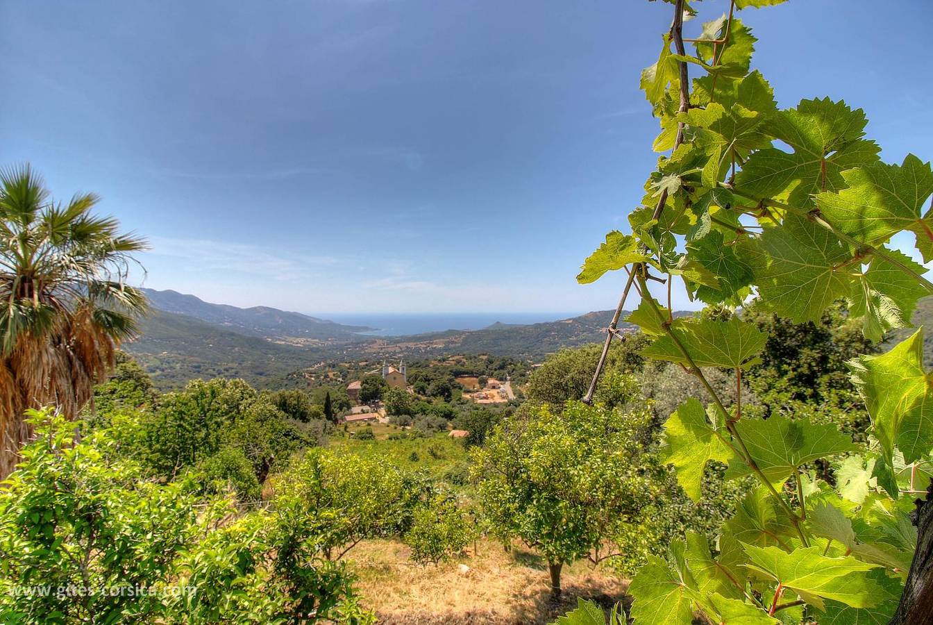 Casa di i Poggi in Sari-d'Orcino, Ajaccio region