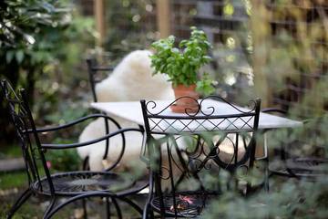 Ferienhaus für 6 Personen in Holländische Küste, Bild 3
