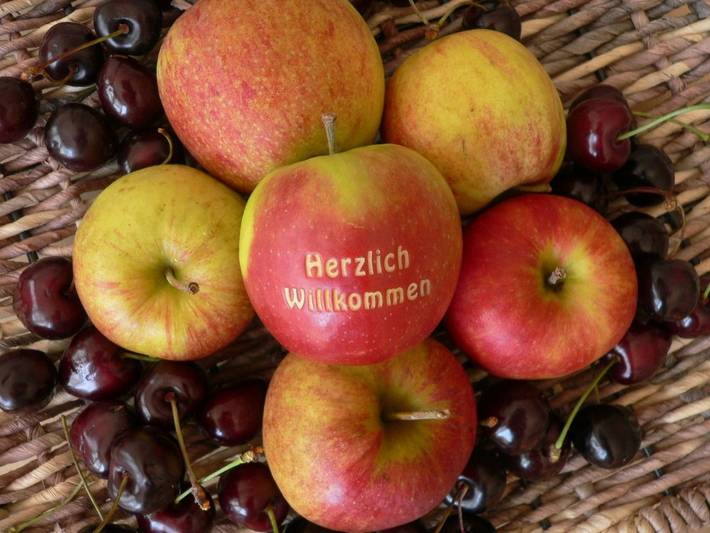 Gîte pour 2 personnes, avec terrasse à Lindau - 2