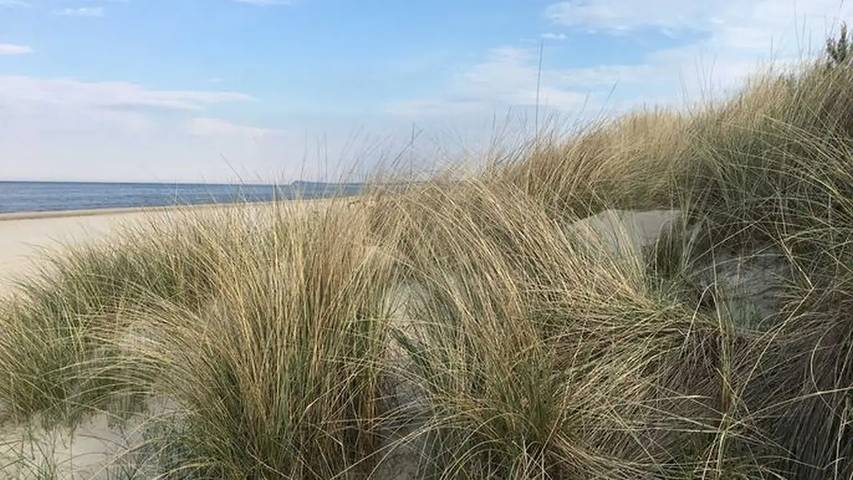 Ferienhaus für 5 Personen, mit Terrasse auf Usedom - 3