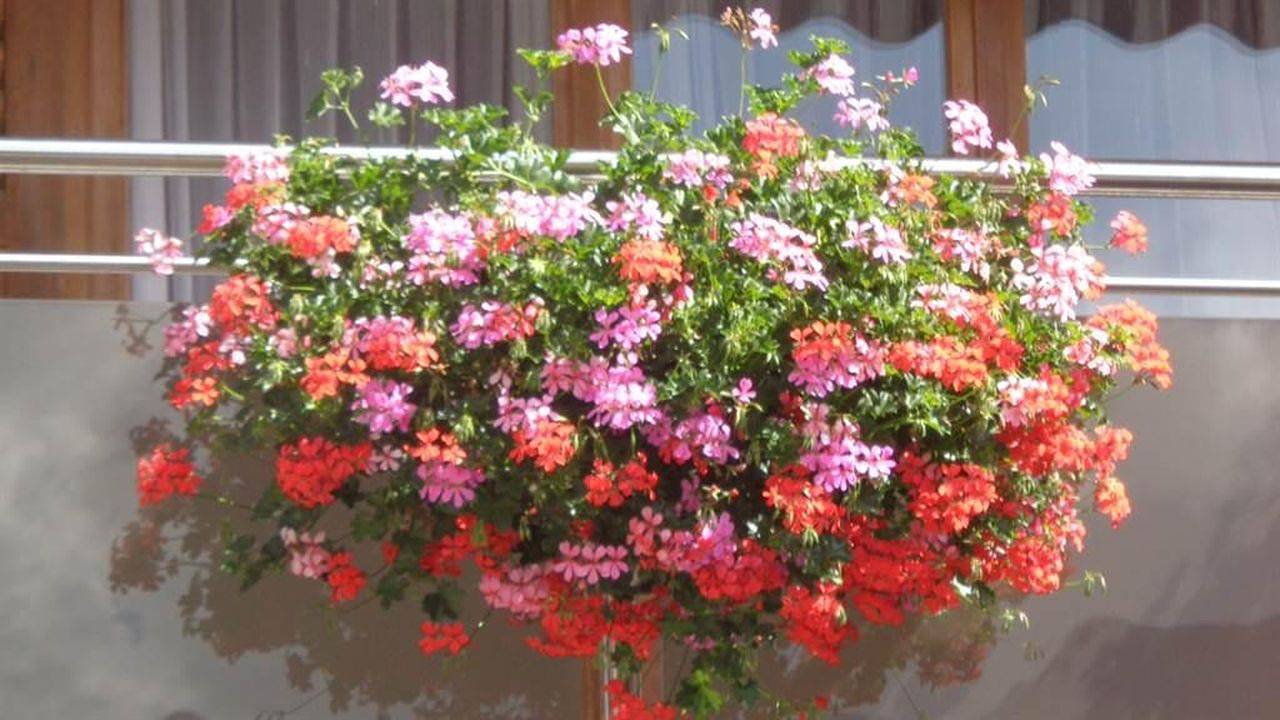 Geheel vakantieappartement, Vakantieappartement voor 5 personen met balkon in Sankt Anton im Montafon, Schruns-Tschagguns