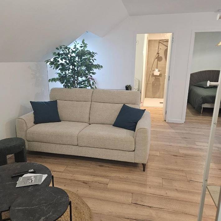 Gîte pour 4 personnes, avec piscine ainsi que jacuzzi et terrasse, animaux acceptés à La Chapelle-de-Brain - 3