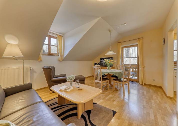 Ferienwohnung für 4 Personen, mit Sauna und Garten - 1