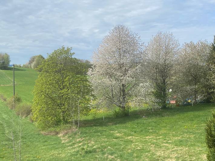 Ferienwohnung für 4 Personen, mit Balkon/Terrasse und Garten sowie Pool in Spiegelau